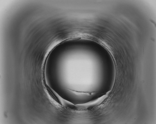 X0000094931152200711291329