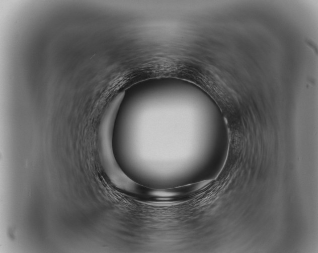 X0000094931153200711291328