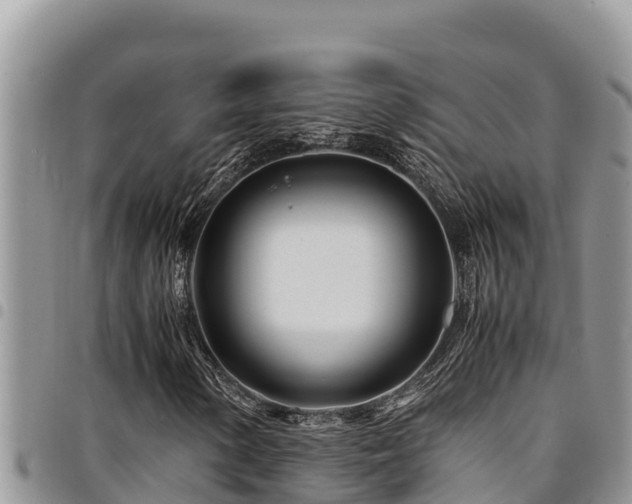 X0000094931154200711291328