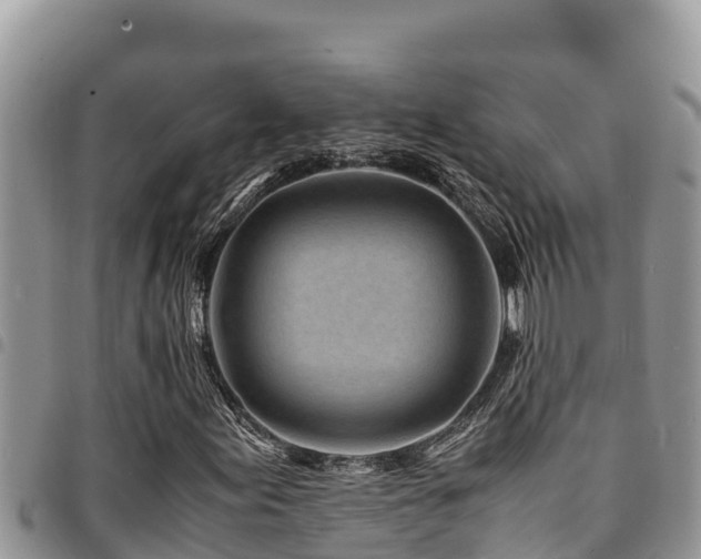X0000094931155200711291328