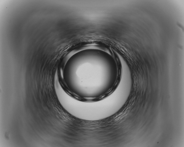 X0000094931156200711291328