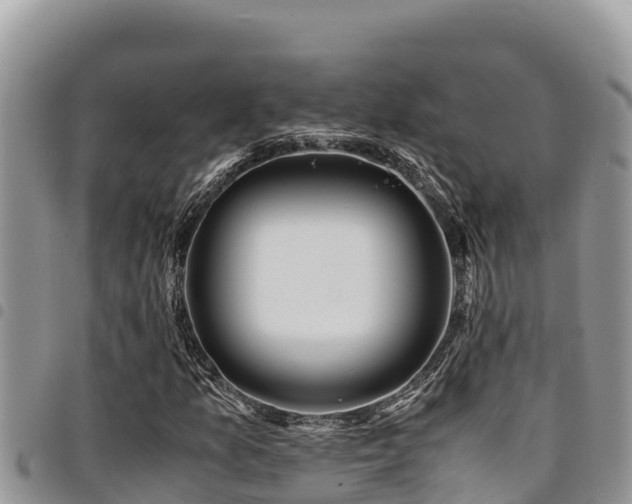 X0000094931157200711291328