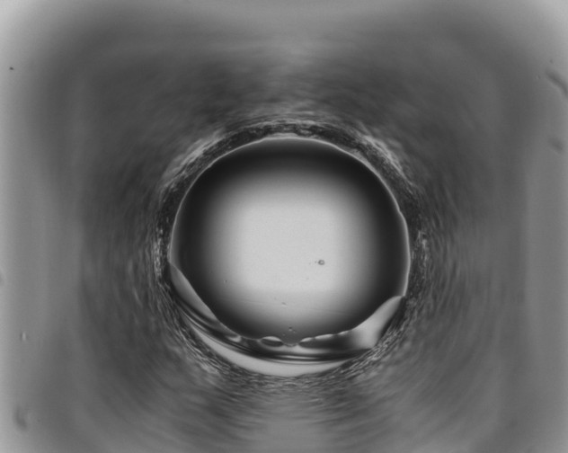 X0000094931159200711291328