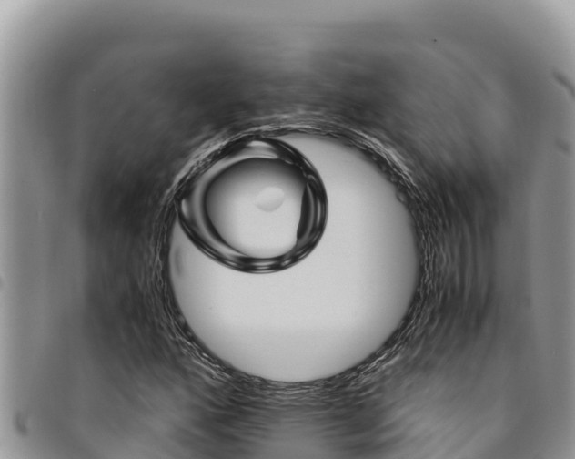 X0000094931160200711291328