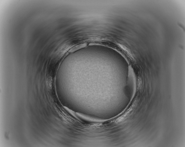 X0000094931161200711291328