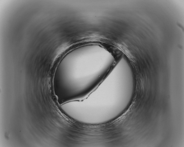 X0000094931164200711291328