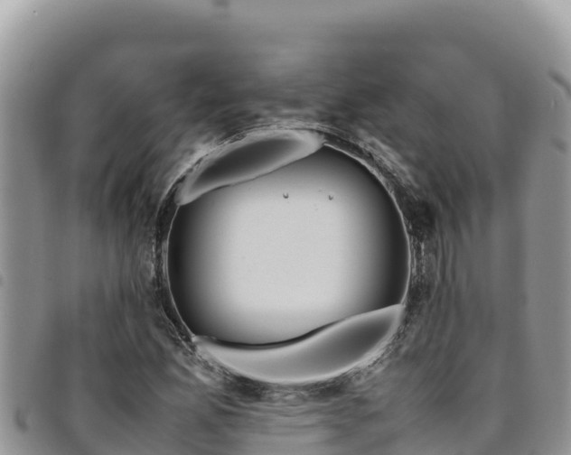 X0000094931165200711291328