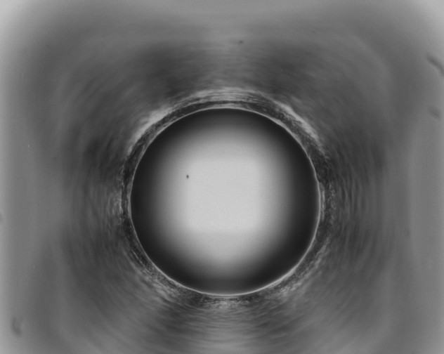 X0000094931166200711291328