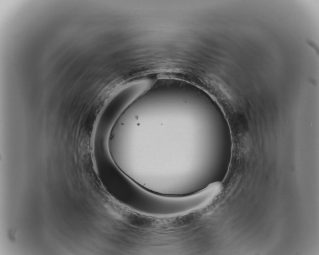 X0000094931169200711291328