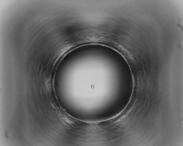 X0000094931170200711291328