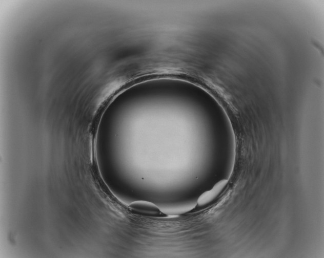 X0000094931171200711291328