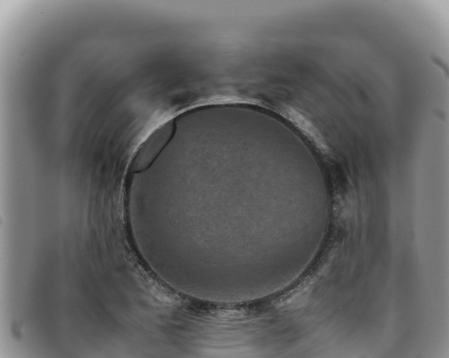 X0000094931173200711291328