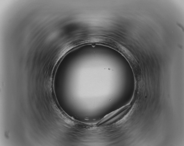X0000094931178200711291328