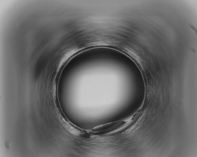X0000094931179200711291328
