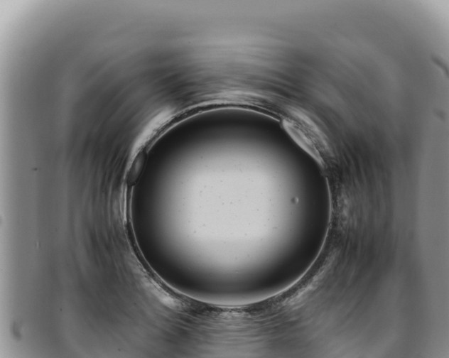 X0000094931180200711291328