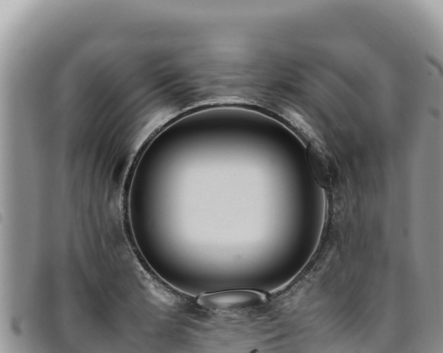 X0000094931181200711291328