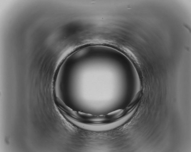X0000094931183200711291328