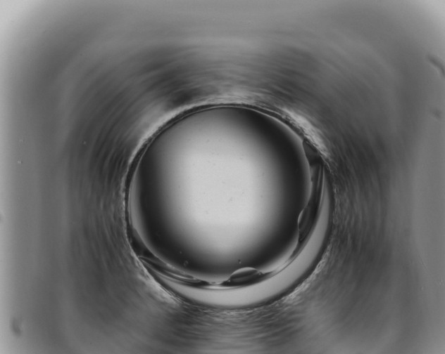 X0000094931184200711291328