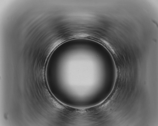 X0000094931186200711291328