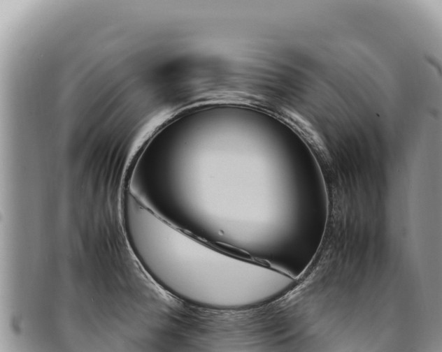 X0000094931188200711291328
