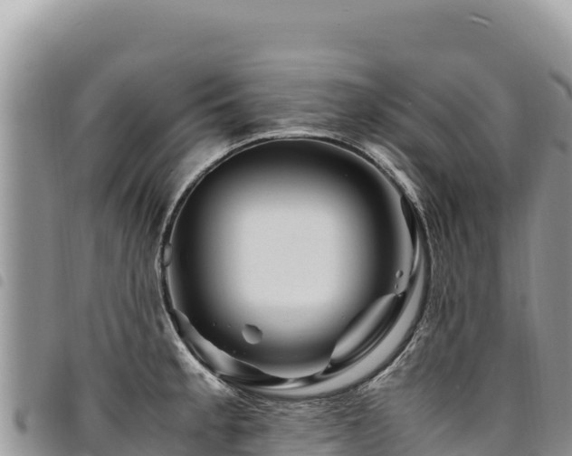 X0000094931189200711291328