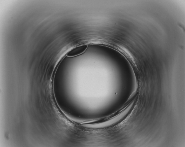 X0000094931190200711291328
