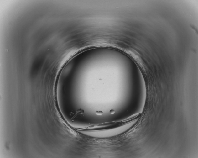 X0000094931191200711291328