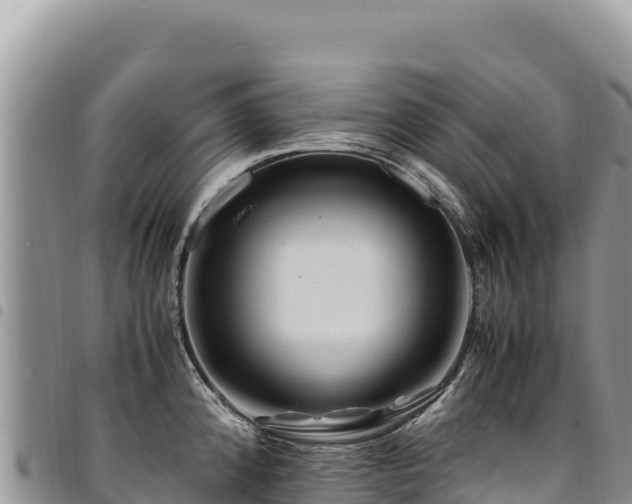 X0000094931192200711291328