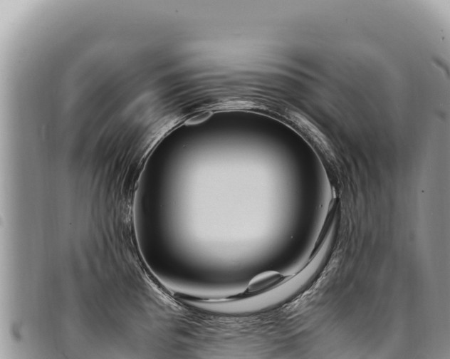 X0000094931193200711291328