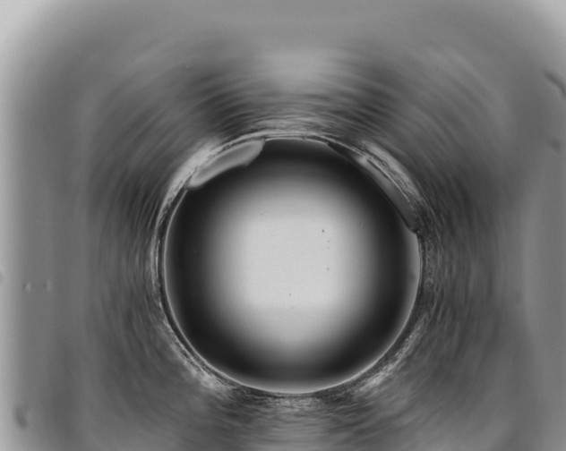 X0000094931196200711291328