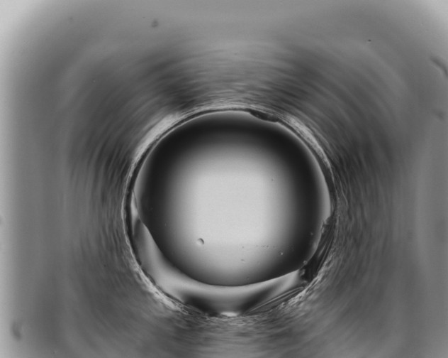 X0000094931197200711291328