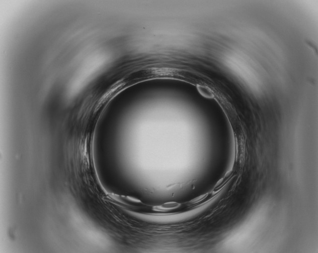 X0000094931198200711291328