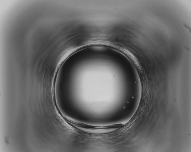 X0000094931199200711291328