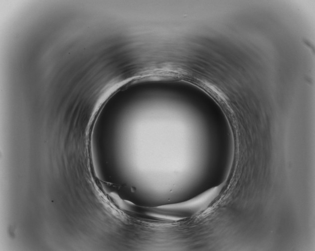 X0000094931200200711291328