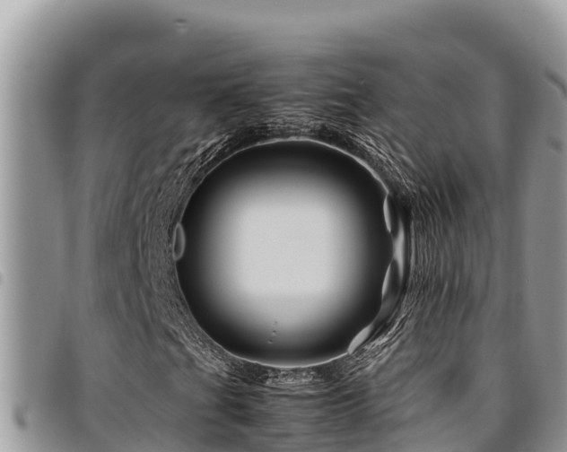 X0000094931201200711291327