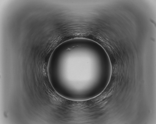 X0000094931202200711291327