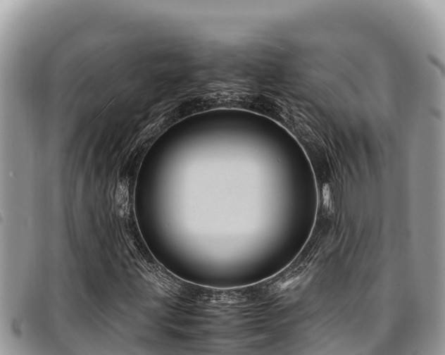 X0000094931203200711291327