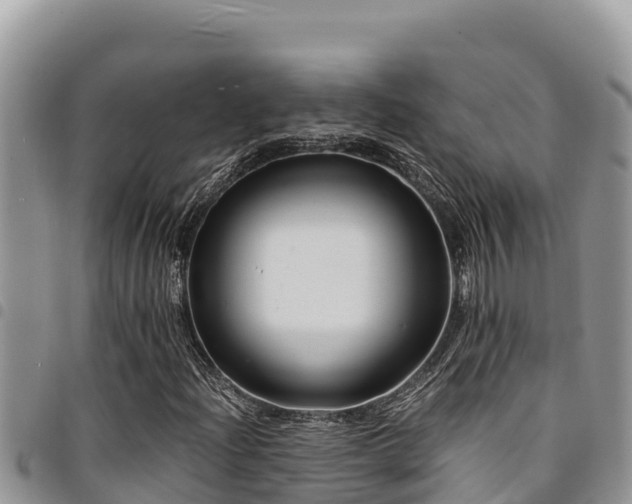 X0000094931204200711291327