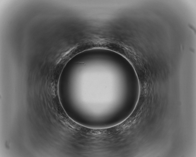 X0000094931205200711291327