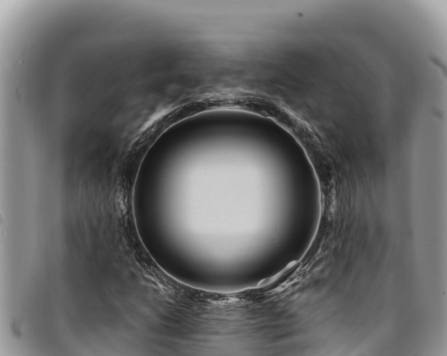 X0000094931206200711291327