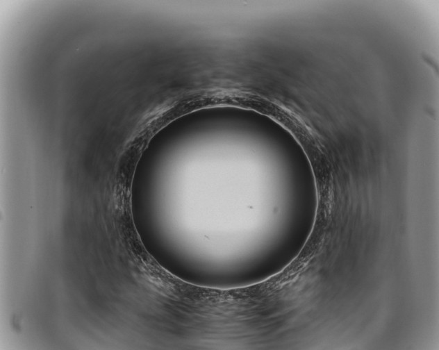 X0000094931207200711291327