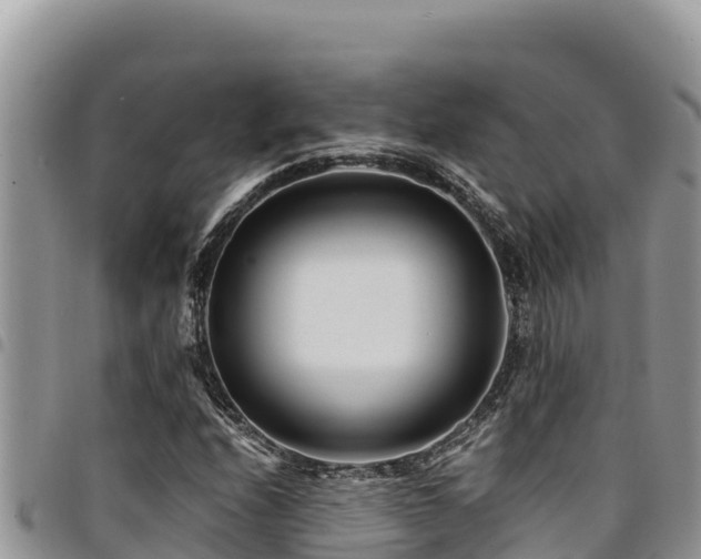 X0000094931208200711291327