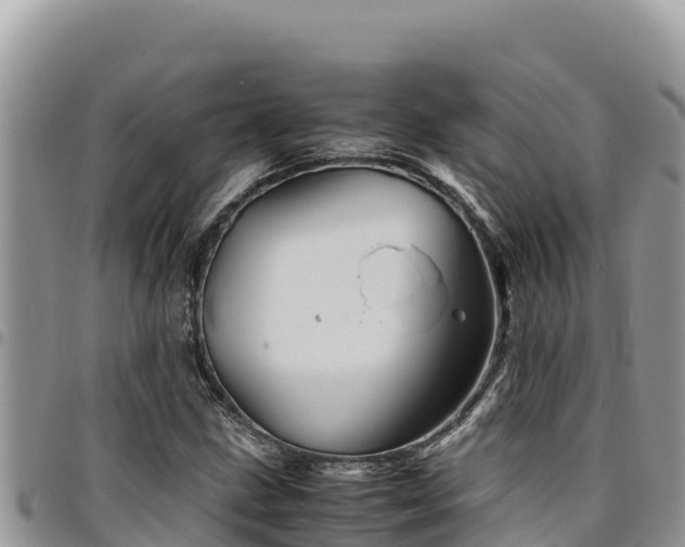 X0000094931211200711291327