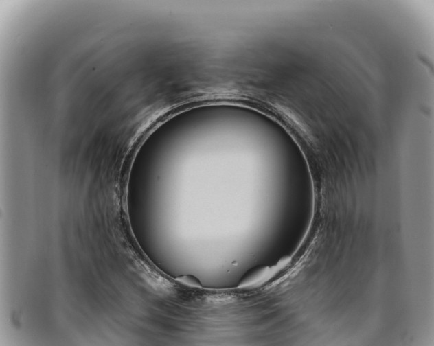 X0000094931212200711291327