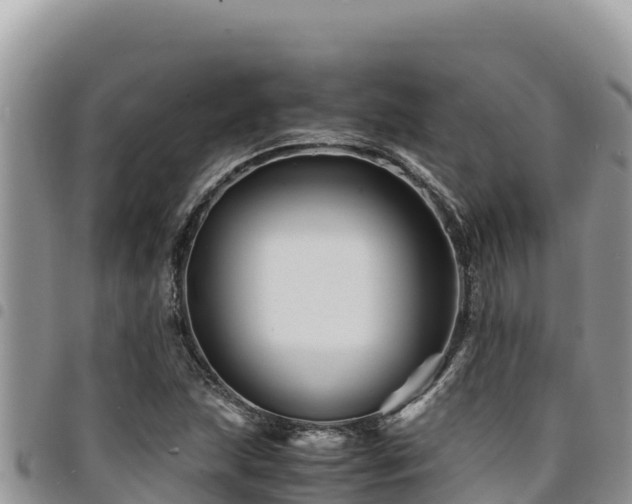 X0000094931215200711291327