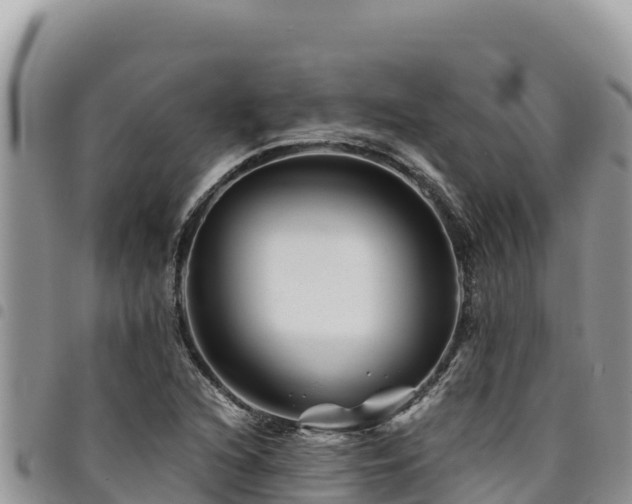 X0000094931216200711291327