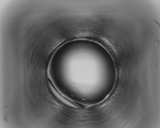 X0000094931217200711291327