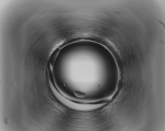 X0000094931218200711291327