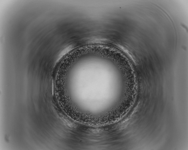 X0000094931219200711291327