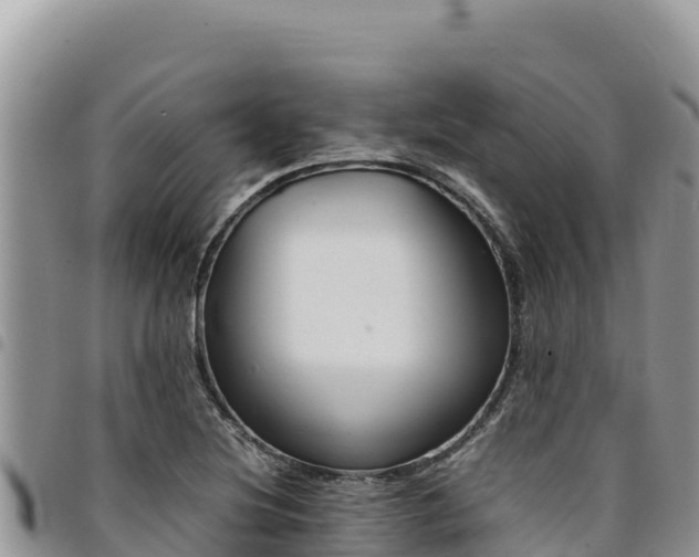 X0000094931220200711291327